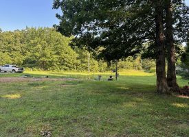 5.00+/-acres unrestricted wooded property