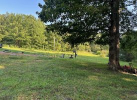 5.00+/-acres unrestricted wooded property