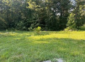 5.00+/-acres unrestricted wooded property