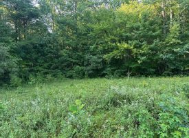 5.00+/-acres Unrestricted wooded property