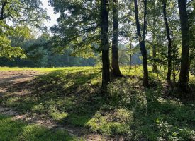 5.00+/-acres Unrestricted wooded property