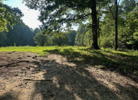 5.00+/-acres Unrestricted wooded property