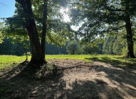 5.00+/-acres Unrestricted wooded property