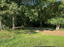 5.00+/-acres Unrestricted wooded property