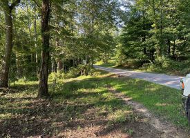 5.00+/-acres Unrestricted wooded property