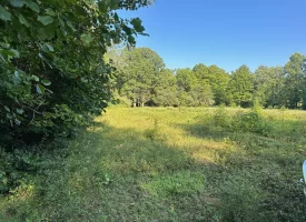 5.00+/-acres Unrestricted wooded property