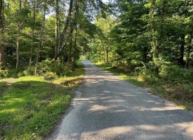 5.00+/-acres Unrestricted wooded property