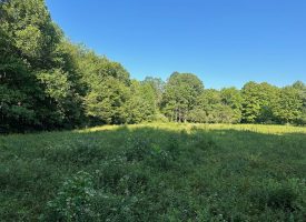 5.00+/-acres Unrestricted wooded property