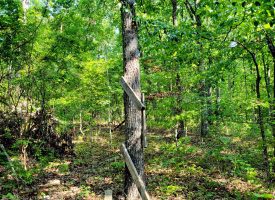 127+/- acre tract is perfect for hunting and recreation