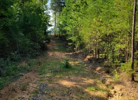 127+/- acre tract is perfect for hunting and recreation