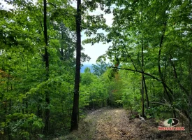 127+/- acre tract is perfect for hunting and recreation