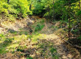 127+/- acre tract is perfect for hunting and recreation