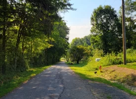 127+/- acre tract is perfect for hunting and recreation