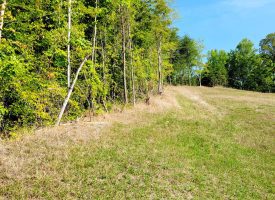 127+/- acre tract is perfect for hunting and recreation