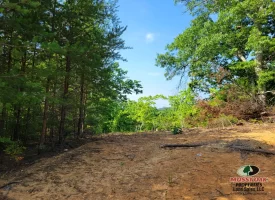 127+/- acre tract is perfect for hunting and recreation