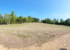 127+/- acre tract is perfect for hunting and recreation