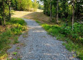 127+/- acre tract is perfect for hunting and recreation