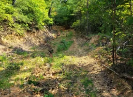 127+/- acre tract is perfect for hunting and recreation