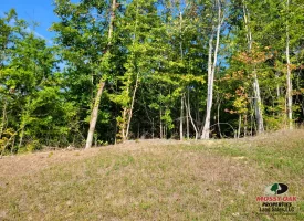 127+/- acre tract is perfect for hunting and recreation