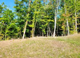 127+/- acre tract is perfect for hunting and recreation