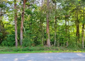 127+/- acre tract is perfect for hunting and recreation