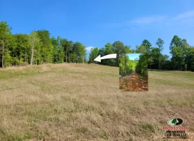 127+/- acre tract is perfect for hunting and recreation