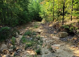 127+/- acre tract is perfect for hunting and recreation