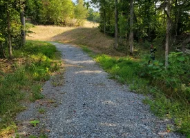 127+/- acre tract is perfect for hunting and recreation