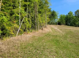 127+/- acre tract is perfect for hunting and recreation