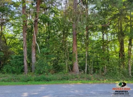 127+/- acre tract is perfect for hunting and recreation