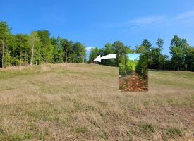 127+/- acre tract is perfect for hunting and recreation