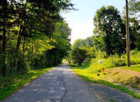 127+/- acre tract is perfect for hunting and recreation