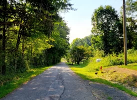 127+/- acre tract is perfect for hunting and recreation