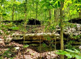 86+/-acres Really exceptional piece of property