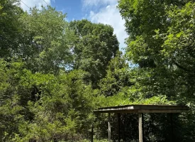 1+/-acres unrestricted Wooded Property