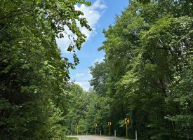 1+/-acres unrestricted Wooded Property