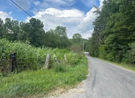 4.02+/-acres Unrestricted Property