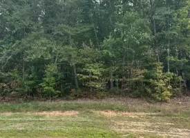 Beautiful Lot in Jasper Highlands