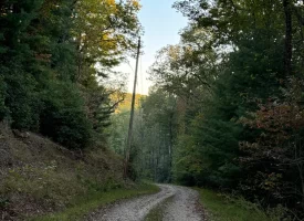 7.8+/-acres Beautiful Secluded wooded property