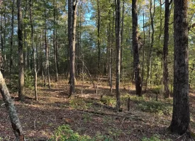 7.8+/-acres Beautiful Secluded wooded property