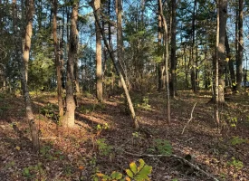 7.8+/-acres Beautiful Secluded wooded property