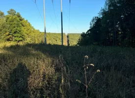 7.8+/-acres Beautiful Secluded wooded property