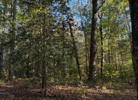 7.8+/-acres Beautiful Secluded wooded property