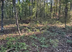 7.8+/-acres Beautiful Secluded wooded property