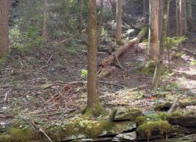 7.57+/-acres Wooded Property with Beautiful Creek