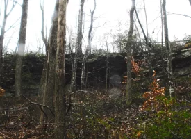 53 +/- acres adjoins State Forest