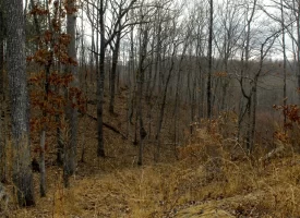 53 +/- acres adjoins State Forest