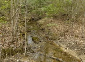 53 +/- acres adjoins State Forest