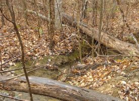 SOLD!! 53 +/- acres adjoins State Forest