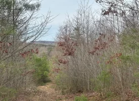 5.07+/-acres Unrestricted Near Monteagle TN